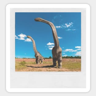 Dinosaur Brachiosaurus 65 Million Year Old Photo Jurassic Period Paleontology Picture Sticker